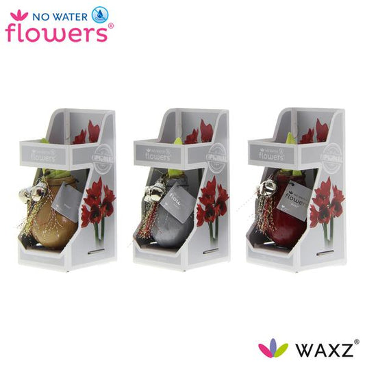 No Water Flowers Jingle Bellz in Geschenkbox - 3 Stücke - Ø7 cm - ↨15 cm