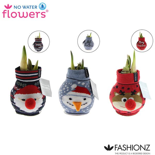 No Water Flowers Fashionz Xmas - 3 Stücke - Ø7cm - ↨15 cm