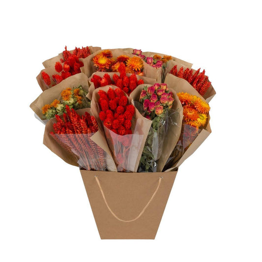 Getrocknete Blumen - Getrocknete Monomischung - Orange - ↨50cm