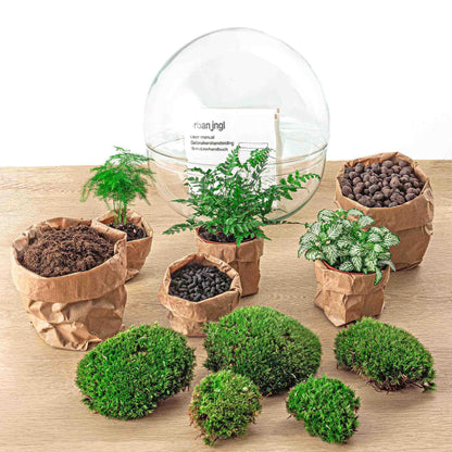 Flaschengarten - Dome XL - ↨30 cm - Harke+Schaufel