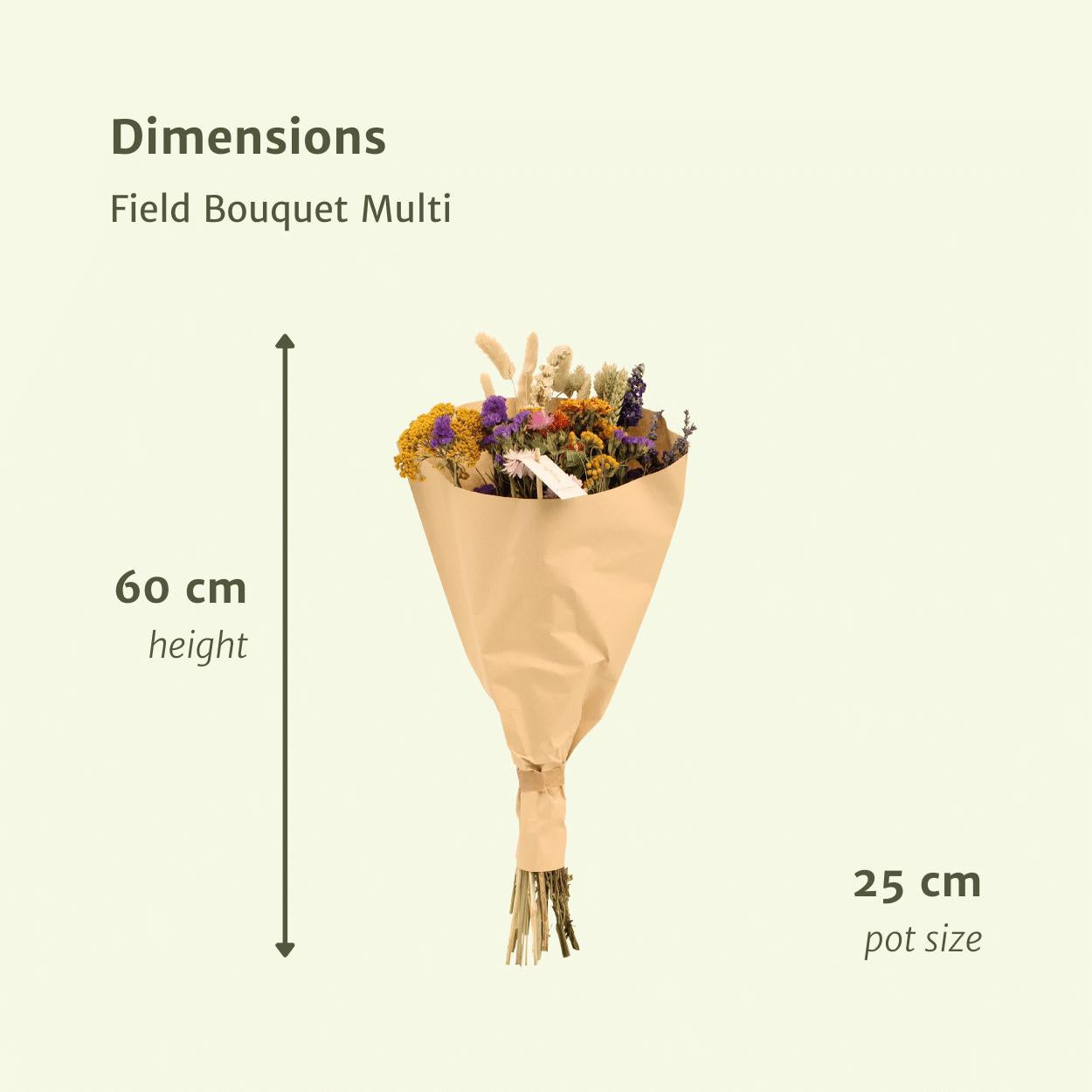 Feld Blumenstrauß Bunt - Trockenblumenstrauß - Ø25cm - ↨60cm