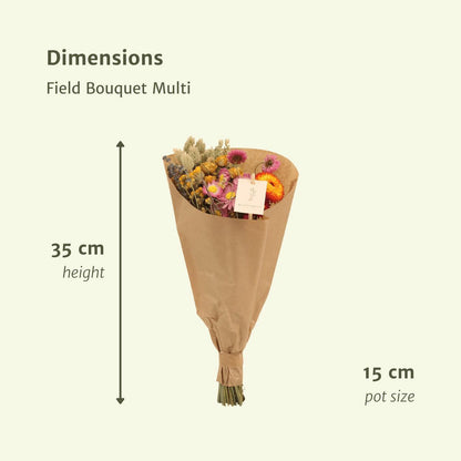 12x Feld Blumenstrauß Bunt - Trockenblumenstrauß - 35cm - Ø15cm