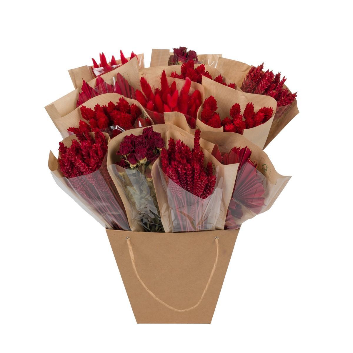 Getrocknete Blumen - Dried Mono Mix - rot - ↨50cm