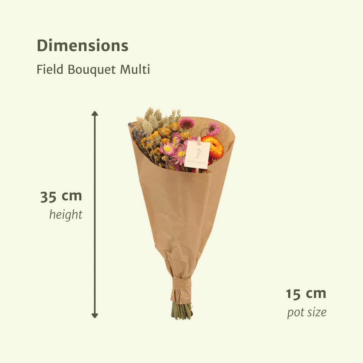 Feld Blumenstrauß Bunt - Trockenblumenstrauß - Ø15cm - ↨35cm