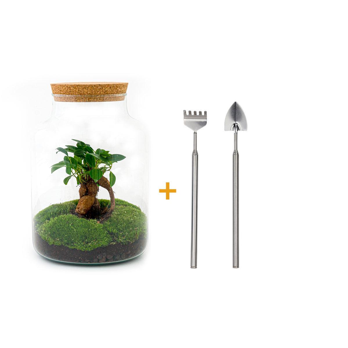 Flaschengarten - Milky mit Bonsai - ↨ 30 cm - Harke+Schaufel