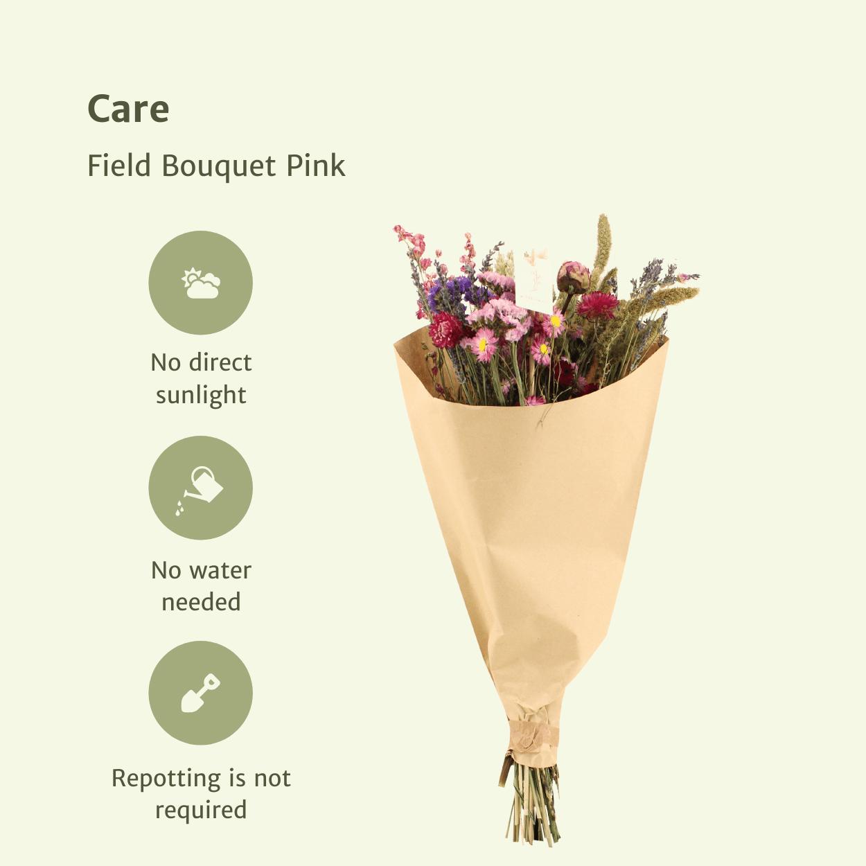 Feld Blumenstrauß Pink - Trockenblumenstrauß - Ø25cm - ↨60cm