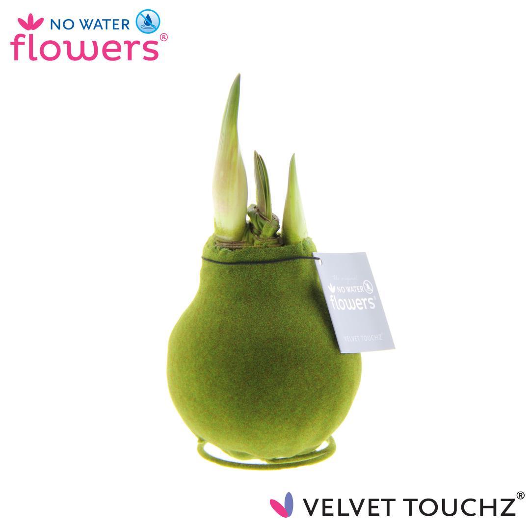 No Water Flowers Velvet Touchz® - grün - ↨15cm