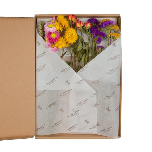 5x Getrocknete Blumen - Blumen in einer Box - bunt - ↨30cm