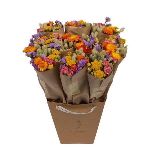 Getrocknete Blumen - bunt - ↨50cm