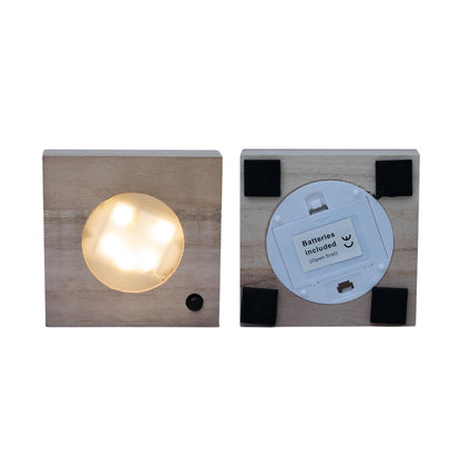 Clusia im Glas - Autographenbaum -  im Glas mit Led - Ø4cm - ↨10cm