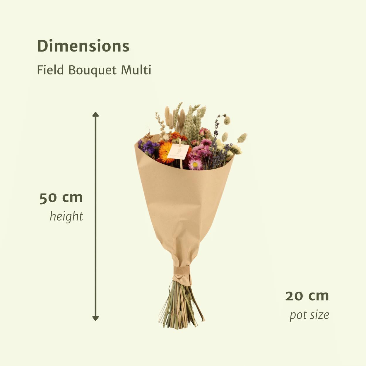 Feld Blumenstrauß Bunt - Trockenblumenstrauß - Ø20cm - ↨50cm