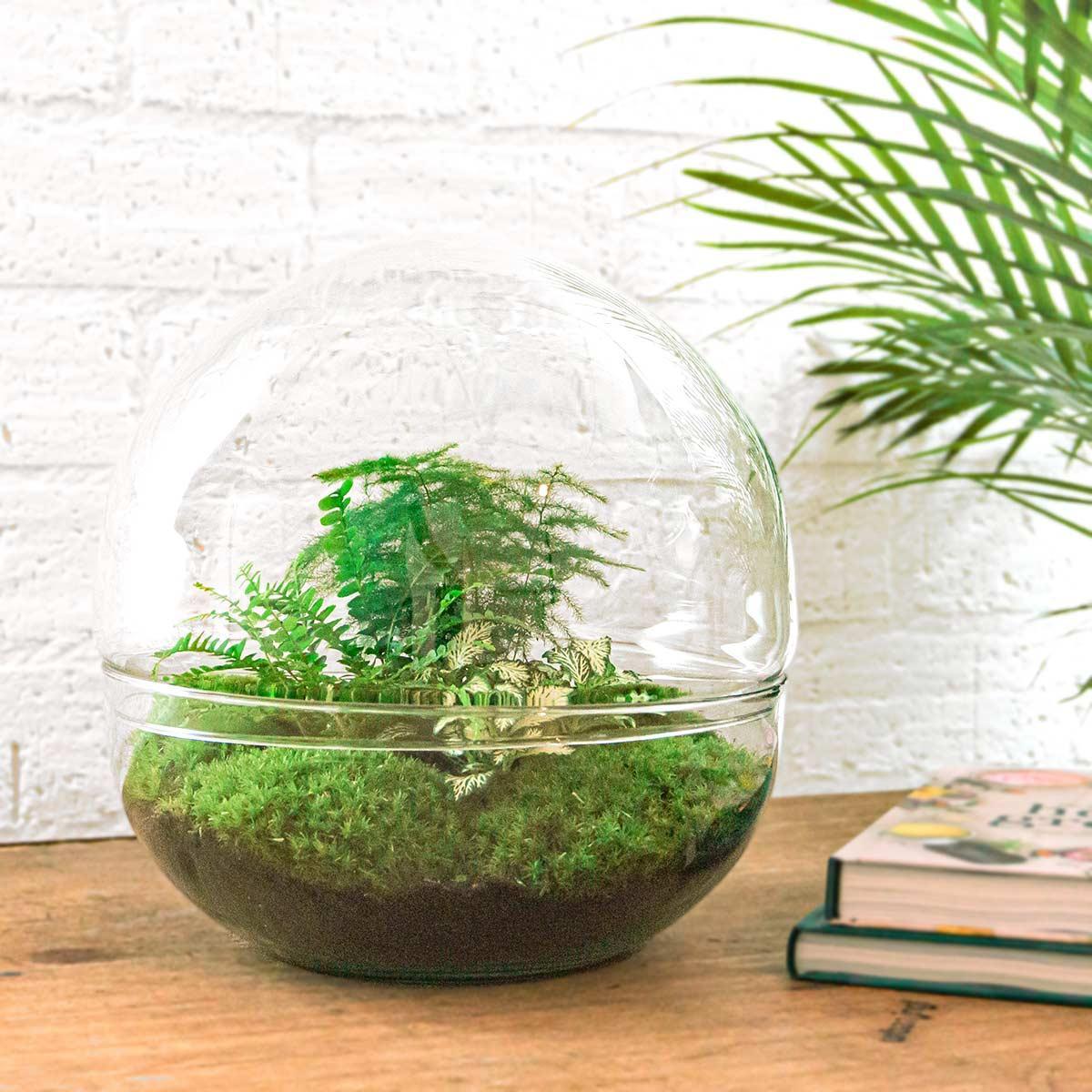 Flaschengarten - Dome XL - ↨30 cm - Harke+Schaufel