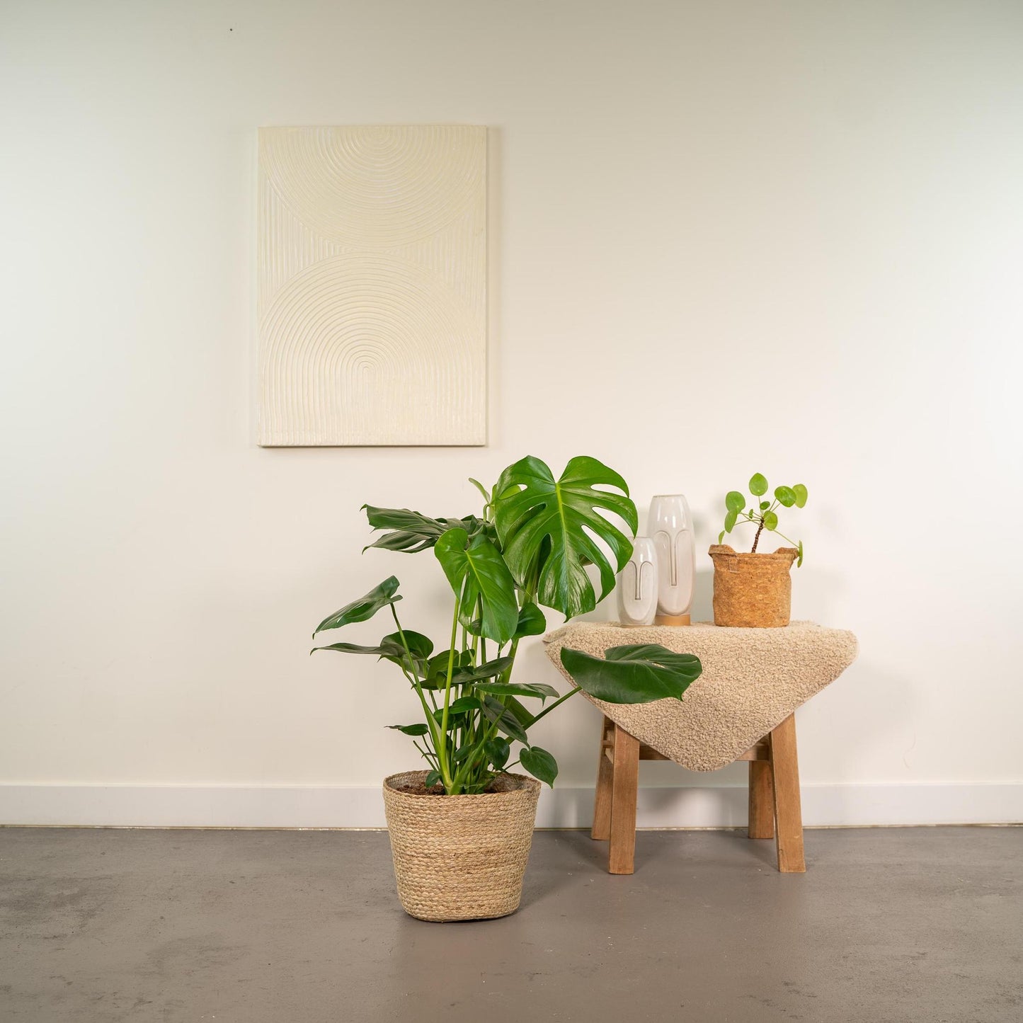 Monstera Deliciosa + Körbchen Selin - ↨80cm - Ø21cm